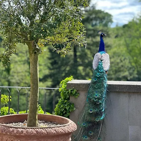 La Commenda Concordia *